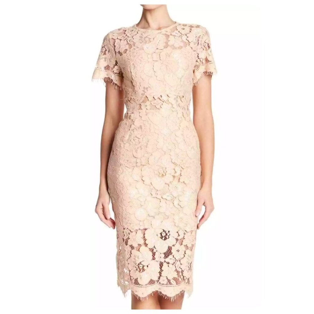 !! NSR Lace Short Sleeve Sheath Midi Dress sz XL